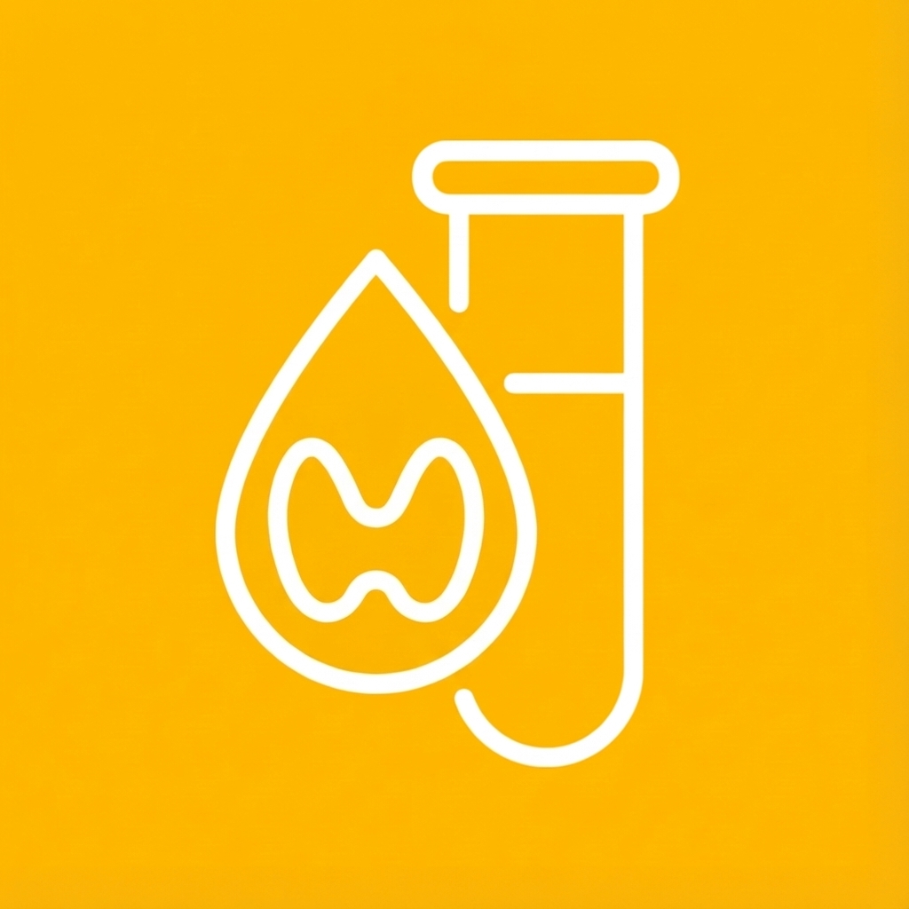 갑상선 기능검사