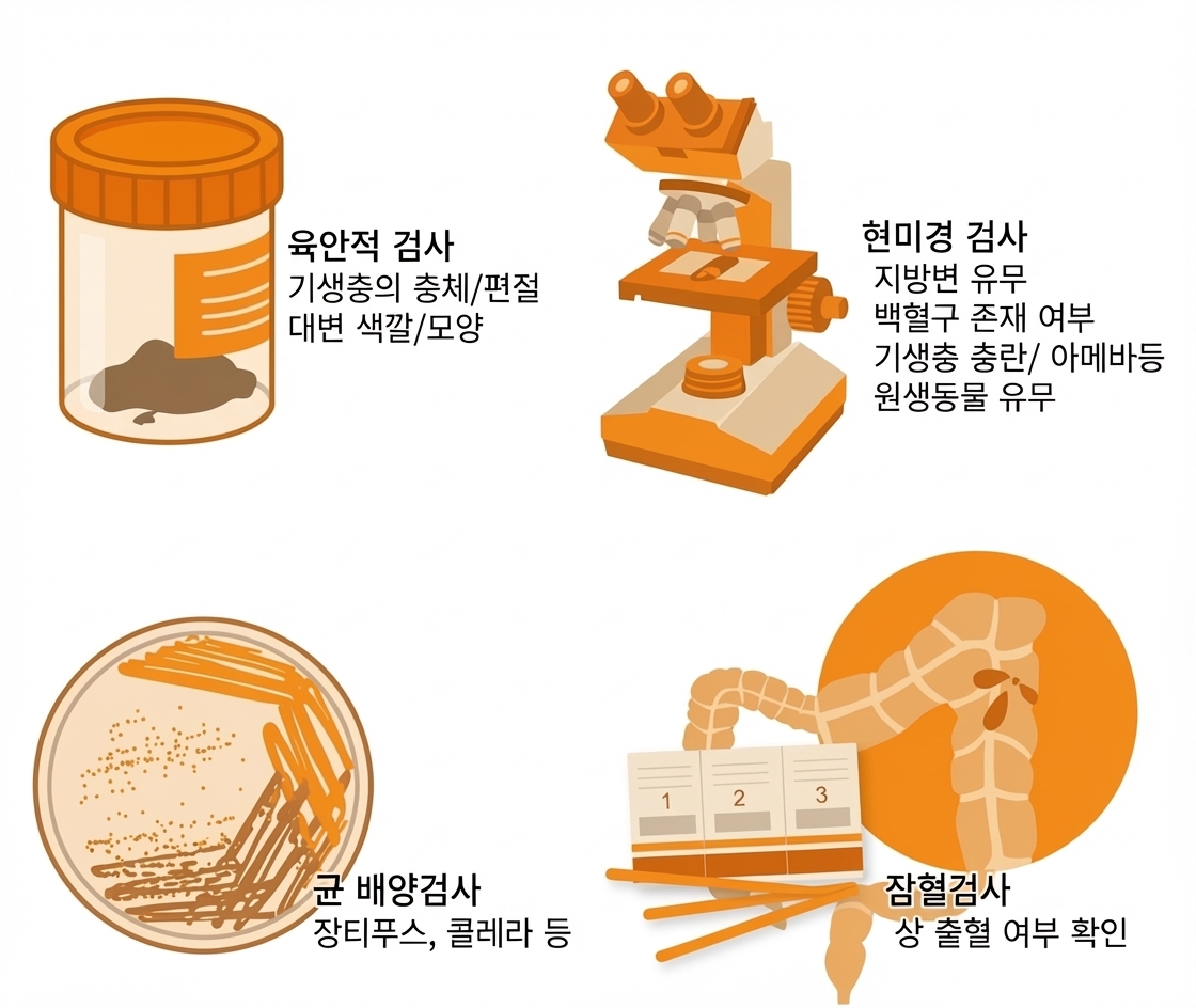 검사 결과 요약 카드 1