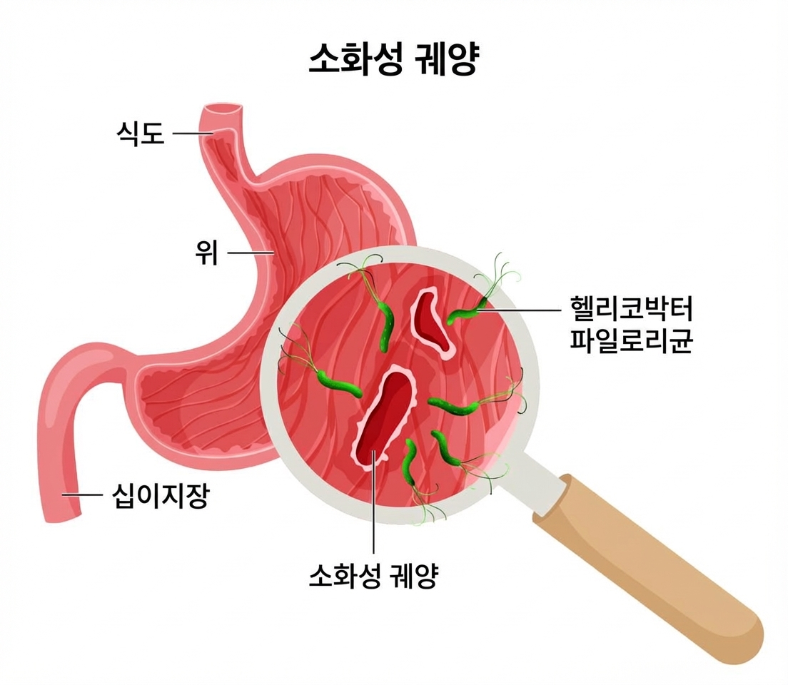검사 결과 요약 카드 2
