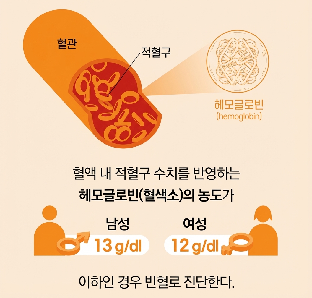 검사 결과 요약 카드 1