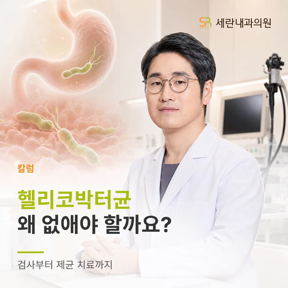 헬리코박터균 치료